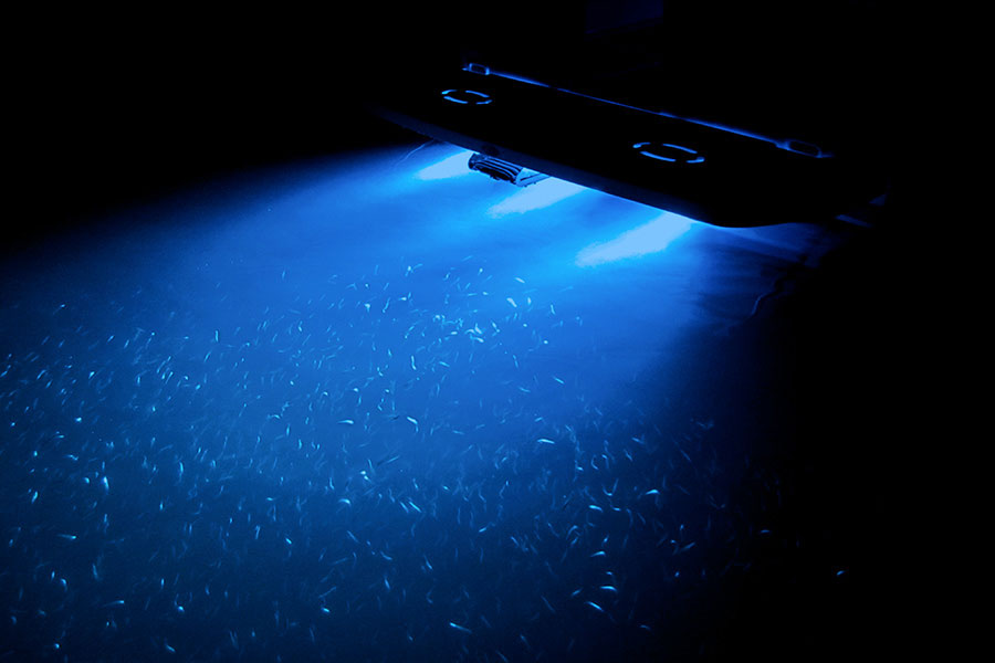 Underwater Boat Light Reviews